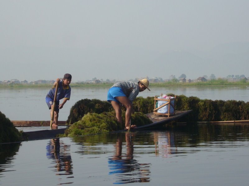 Travel - Myanmar - Inle Lake - First Boat Trip - Canals and floating villages